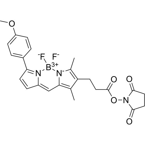 BDP TMR NHS ester 485397-12-4